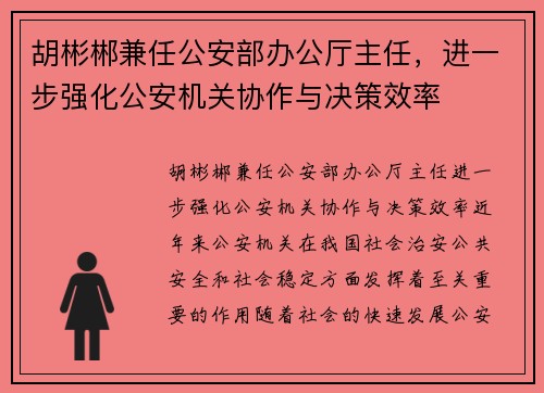 胡彬郴兼任公安部办公厅主任，进一步强化公安机关协作与决策效率
