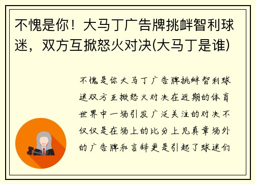 不愧是你！大马丁广告牌挑衅智利球迷，双方互掀怒火对决(大马丁是谁)